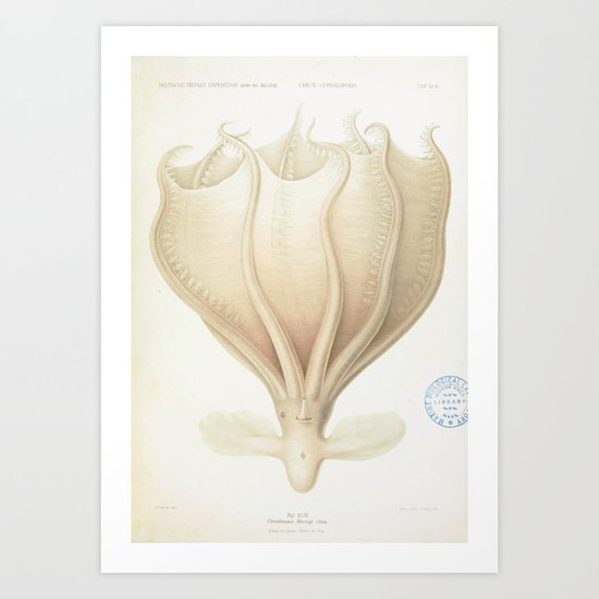 Angel of the sea Art Print