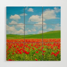 Bright Color Flower Field in Tuscany Italy Wood Wall Art