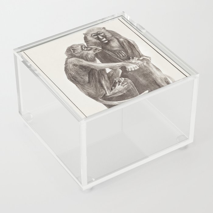 Monkey couple illustration Acrylic Box
