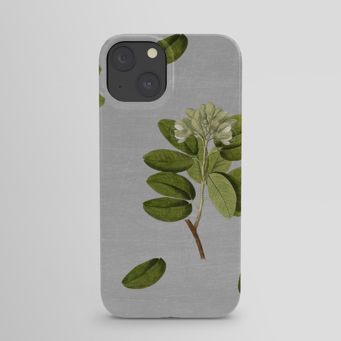 garden iPhone Case