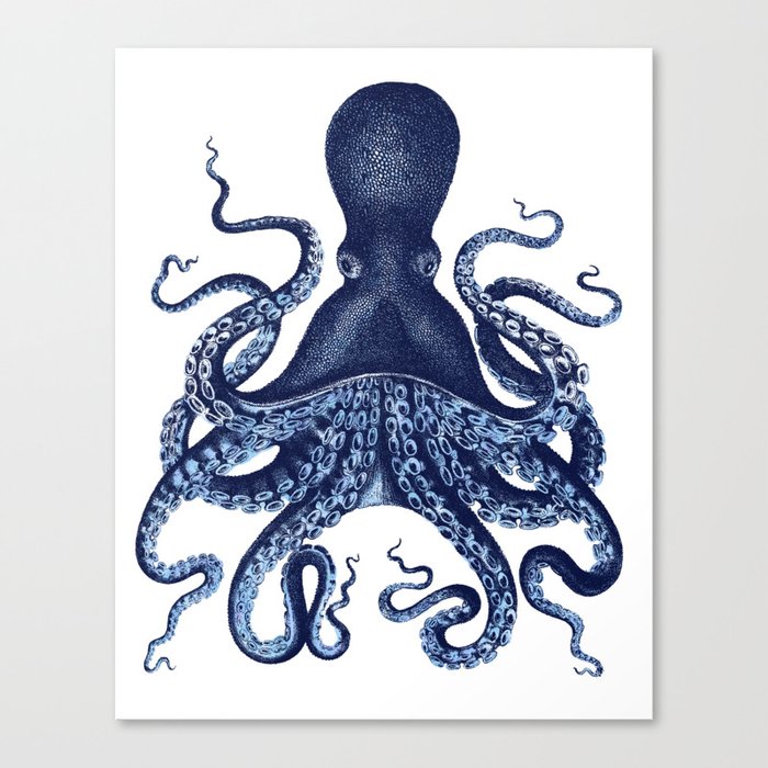Watercolor blue vintage octopus Leinwanddruck