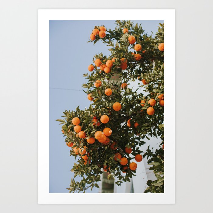 Mediterranean Oranges Art Print