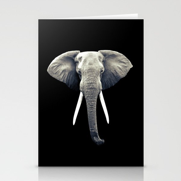 Elephant Portrait Stationery Cards