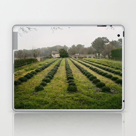 Van Gogh's View Laptop & iPad Skin