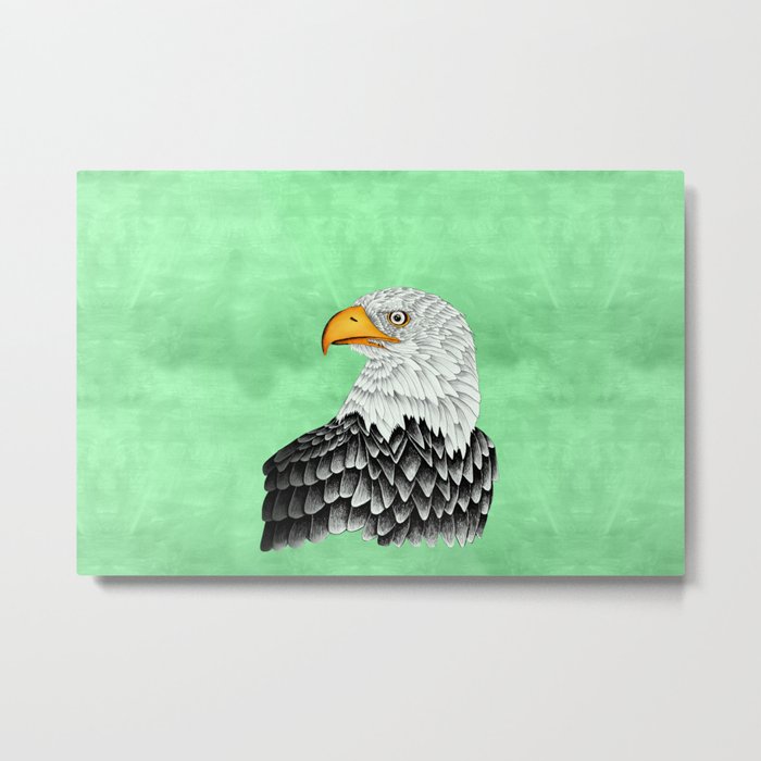 Bald eagle drawing Metal Print