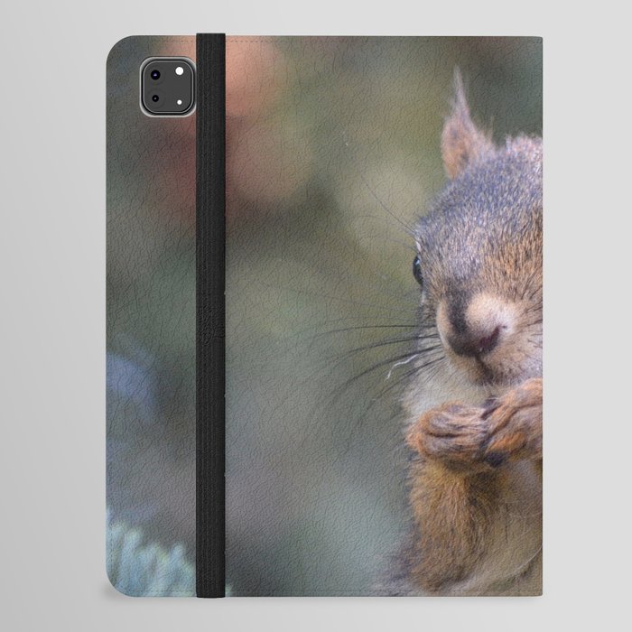 Mr. Squirrel ~ I iPad Folio Case