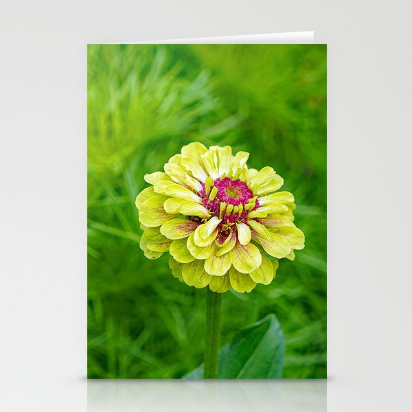 Green and Magenta Zinnia's Stationery Cards