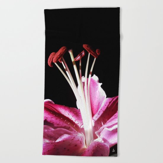 Morning's First Light Beach Towel