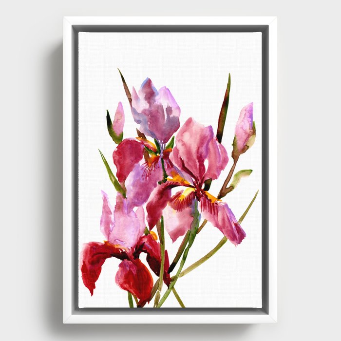 Framed Canvas