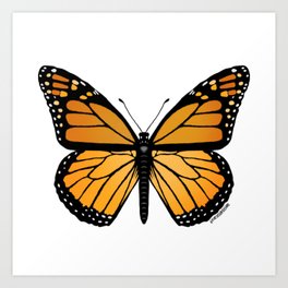 Monarch Butterfly Art Print / Canvas Print Poster Home Decor Wall Art