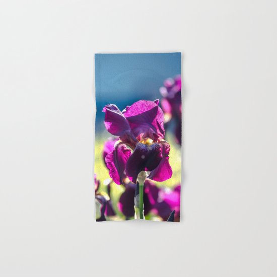 Irises Hand & Bath Towel