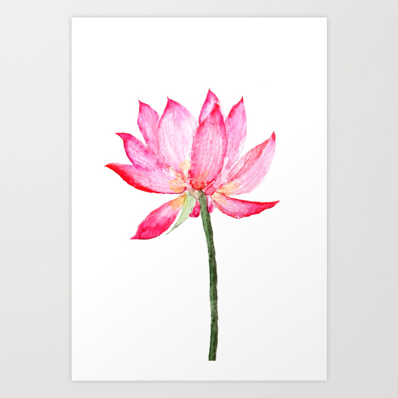 lotus painting