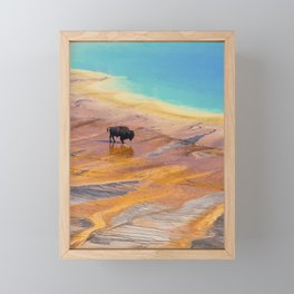 Bison and Grand Prismatic Hot Spring at Yellowstone National Park Framed Mini Art Print