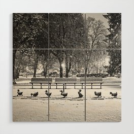 Boston Public Garden Make Way For Ducklings in the Snow Black and White Wood Wall Art