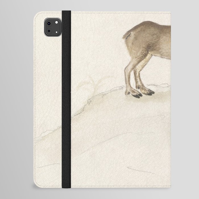 Reindeer, Rangifer tarandus  iPad Folio Case
