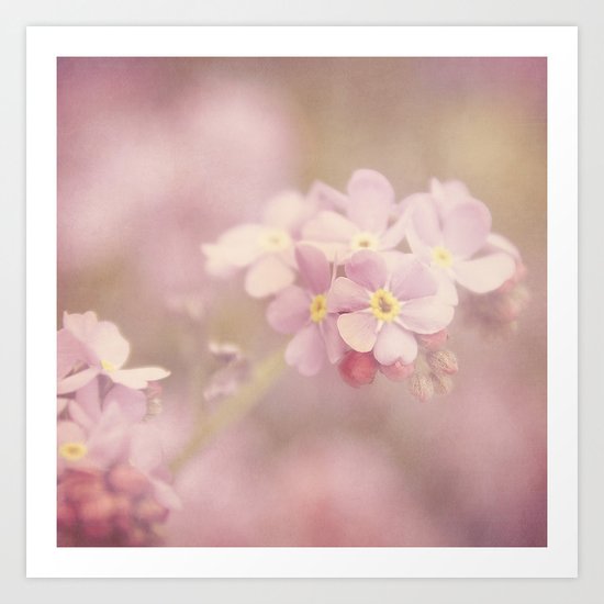 FORGET-ME-NOT Art Print
