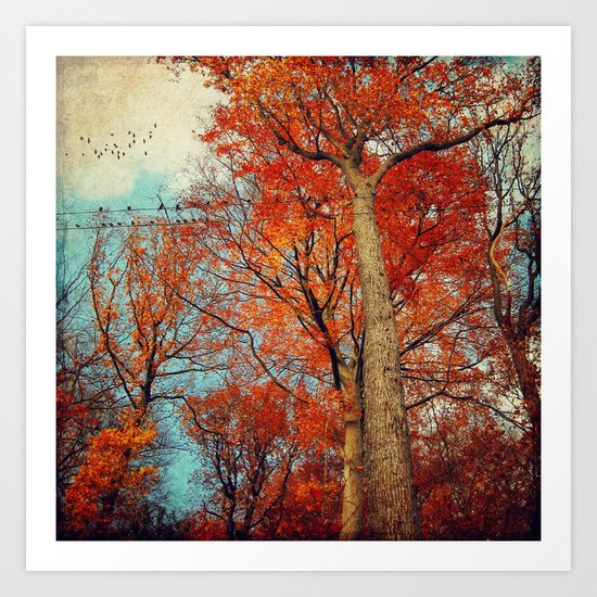trees in autumn Art Print