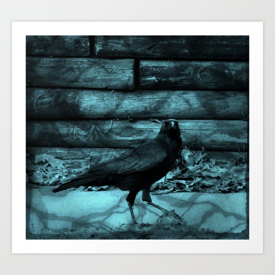 Blue Crow Shadows Art Print