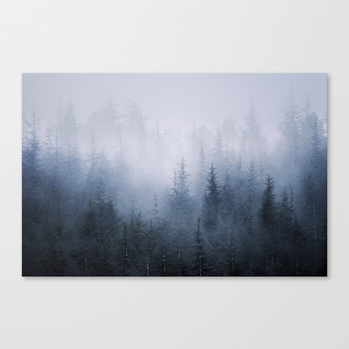 Misty fantasy forest. Canvas Print