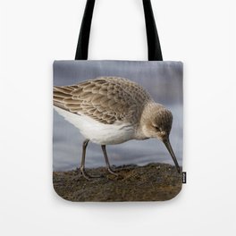 Dunlin Shorebird Tote Bag