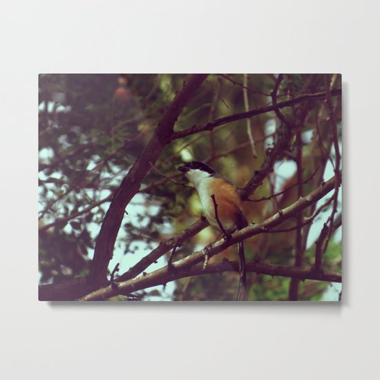 On Alert Metal Print