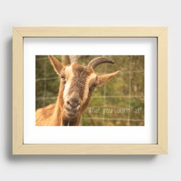 What you lookin' at? Recessed Framed Print