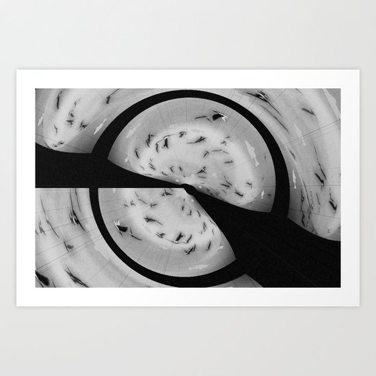 Birds Art Print