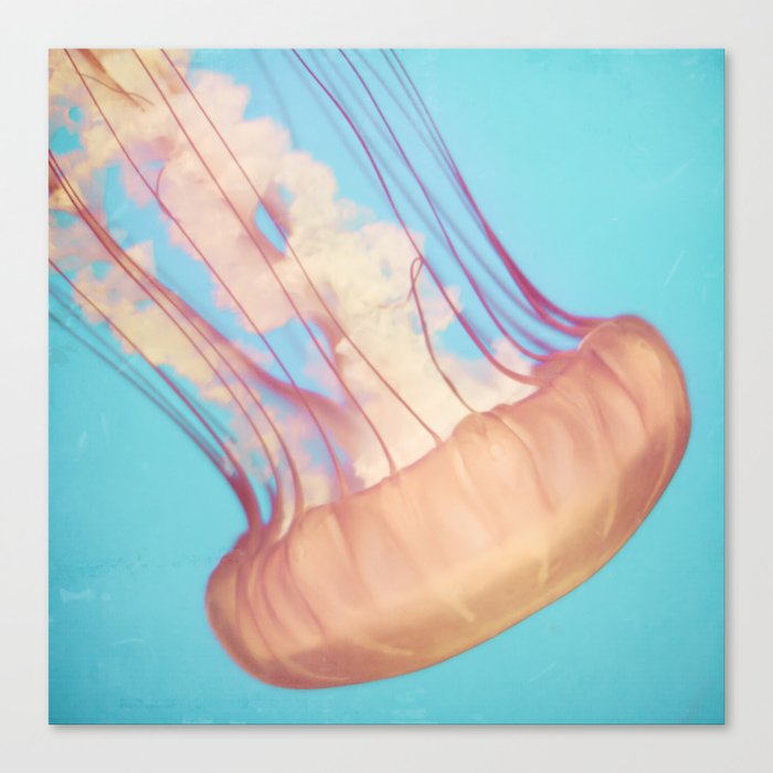 Jellyfish in Pastels Canvas Print