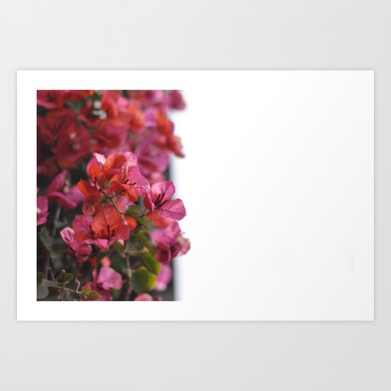 Pink Flowers Art Print