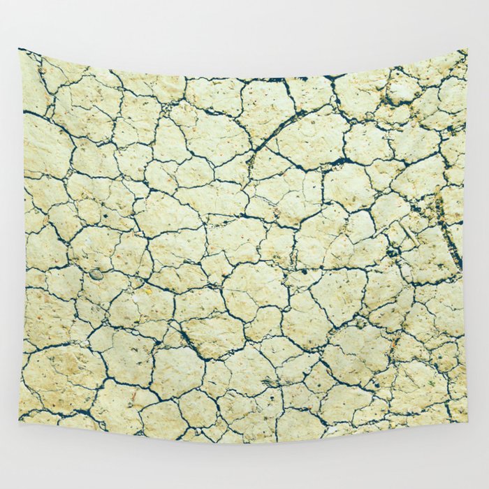 Dry Lake Bed Wall Tapestry