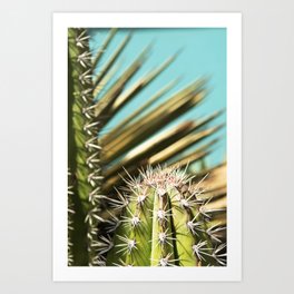 Travel Photography 'Cactus party' photo art made in Caribbean Aruba. Art print. Art Print