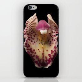 Orchid iPhone Skin
