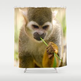 Brazil Photography - Monkey Eating A Grass Straw Shower Curtain