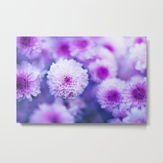 Lost in the Paradise Metal Print