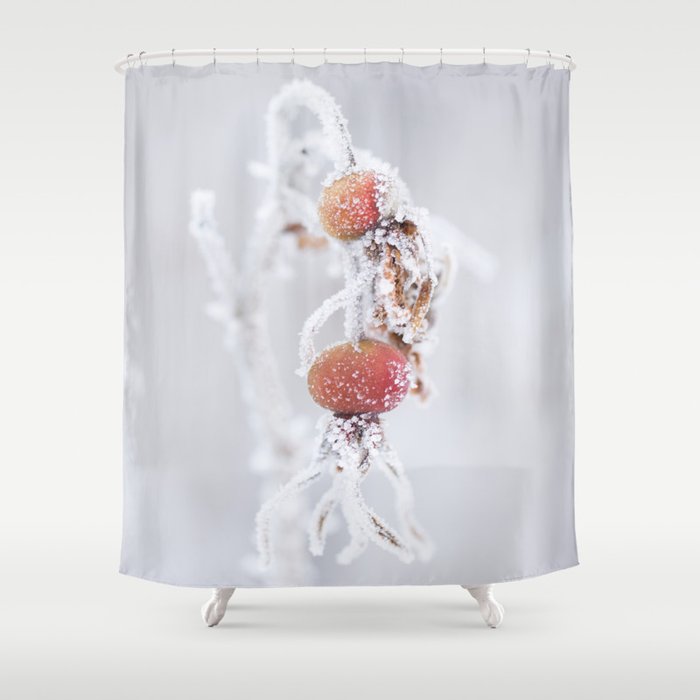 Frozen Rosehip Winter Scene Decor Society6 Buyart Shower