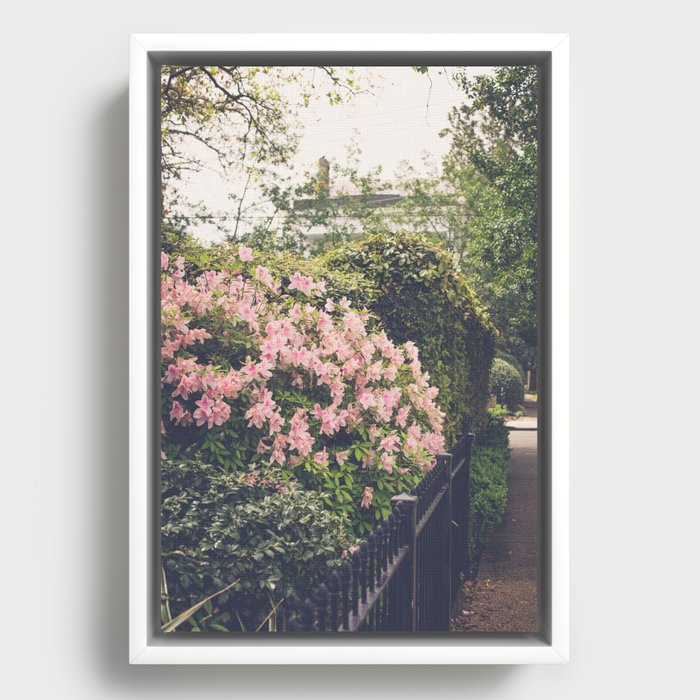 Framed Canvas