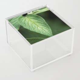 Textured Sage Leaf Acrylic Box