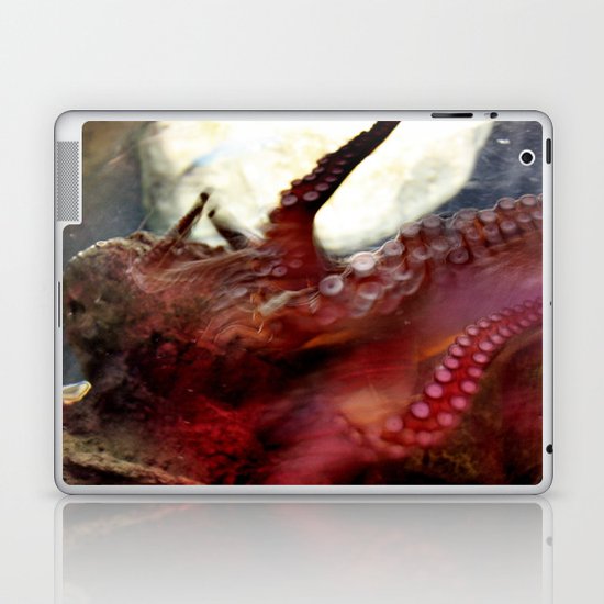 octopus Laptop & iPad Skin
