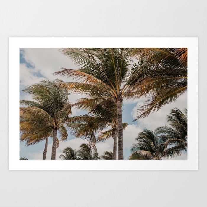 Palm trees Florida | Fine Art Travel Photography Art Print