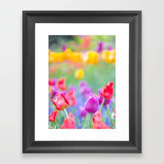 Soft Tulips Framed Art Print