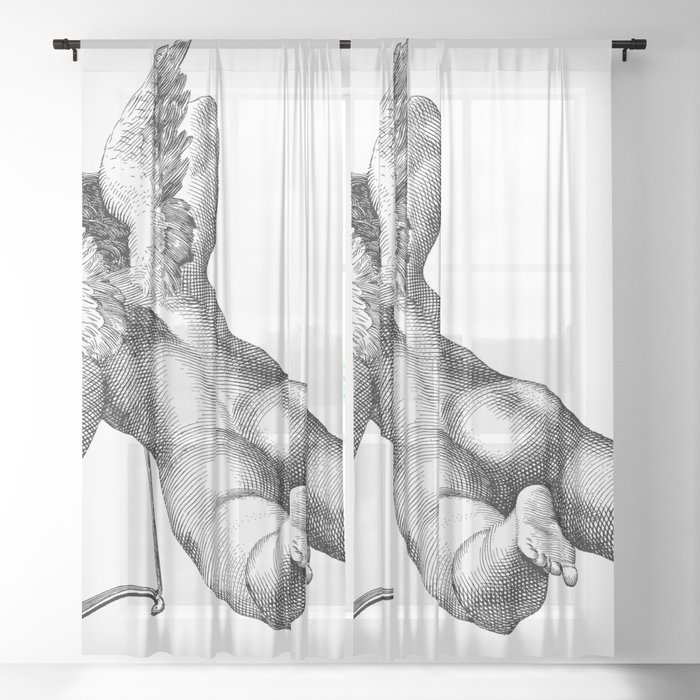 Cupid Sheer Curtain