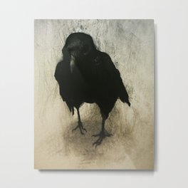 My Friend Merlin Metal Print