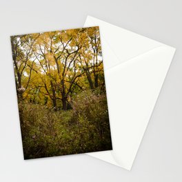Walk Through Fall Stationery Cards