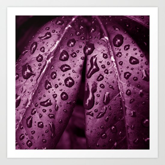 purple rain II Art Print