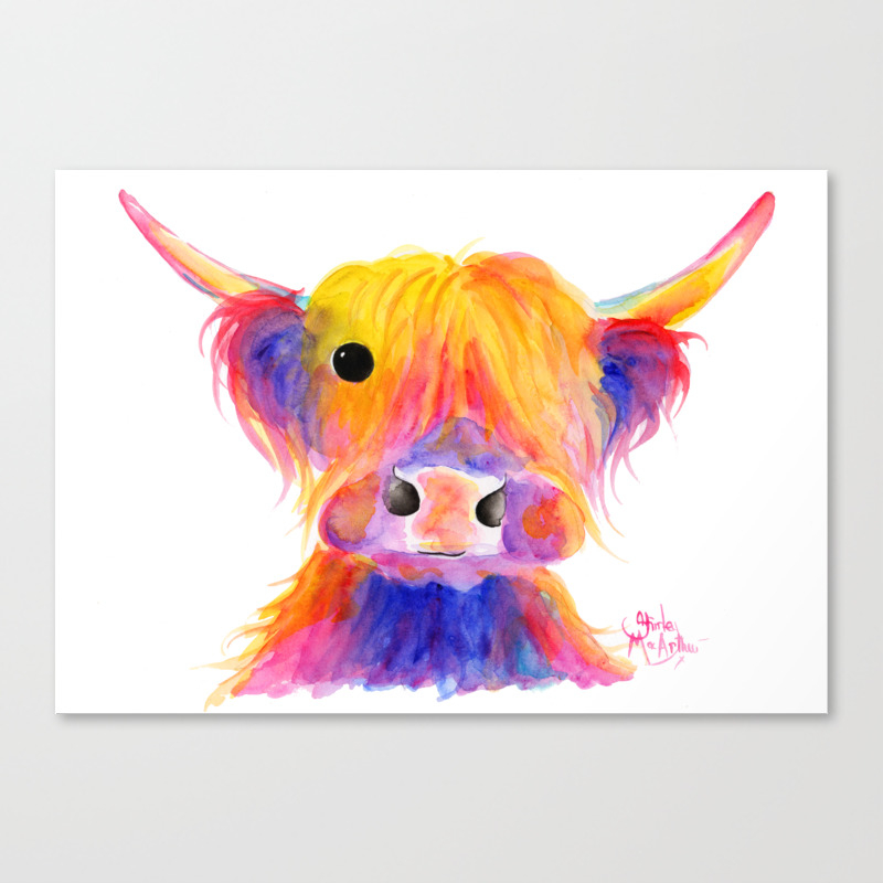 Scottish Highland Cow Hootie By Shirley Macarthur Canvas Print