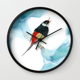 Pin-tailed Manakin - Tropical Bird Wall Clock