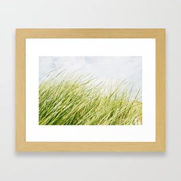 Summer Grass. Framed Art Print