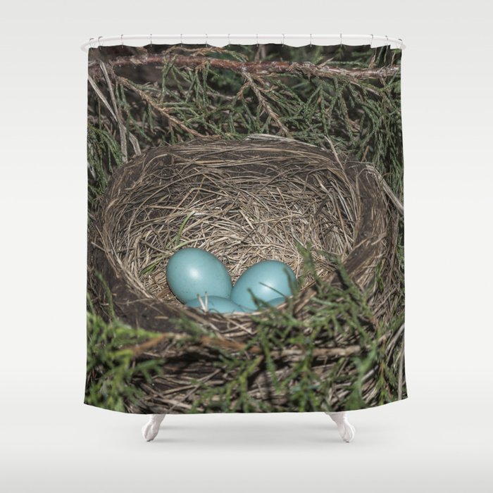 Robins nest with eggs Shower Curtain