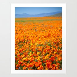 Antelope Valley 02 Art Print