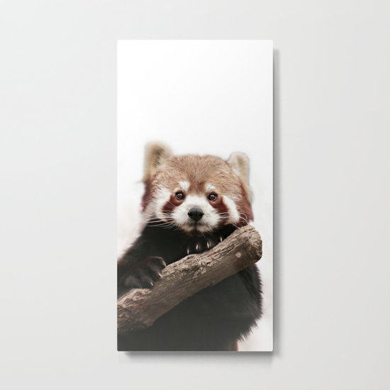 RED PANDA Metal Print